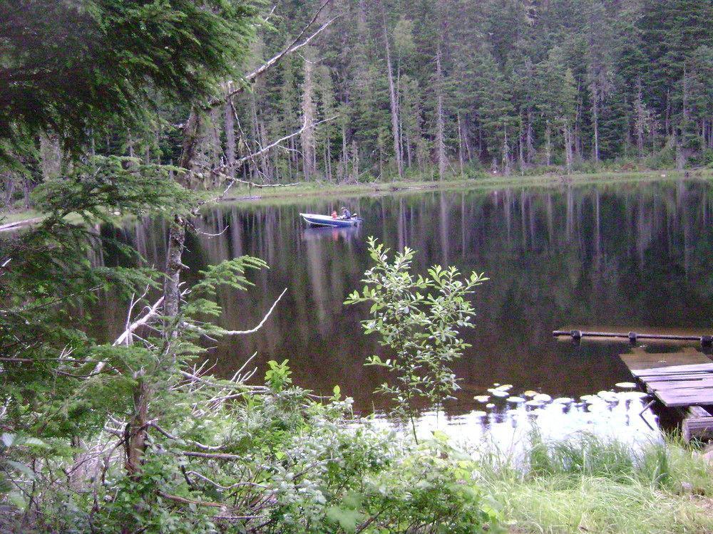 Blue River Cabins & Campgrounds المظهر الخارجي الصورة